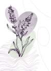 Lavender flowers Art Print