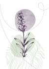 Lavender flowers Art Print