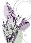 Lavender flowers Art Print