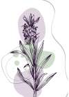 Lavender flowers Art Print