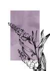 Lavender flowers Art Print