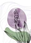 Lavender flowers Art Print