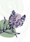 Lavender flowers Art Print