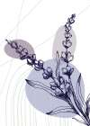 Lavender flowers Art Print