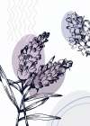 Lavender flowers Art Print