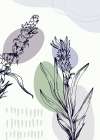 Lavender flowers Art Print