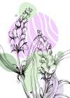 Lavender flowers Art Print