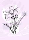 Lavender flowers Art Print