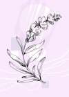 Lavender flowers Art Print