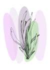 Lavender flowers Art Print