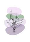 Lavender flowers Art Print