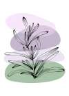 Lavender flowers Art Print