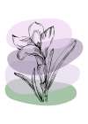 Lavender flowers Art Print