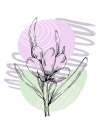 Lavender flowers Art Print