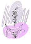 Lavender flowers Art Print