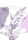 Lavender flowers Art Print