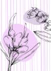 Lavender flowers Art Print