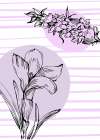 Lavender flowers Art Print