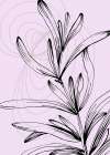 Lavender flowers Art Print