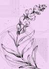 Lavender flowers Art Print
