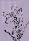 Lavender flowers Art Print