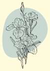 Irises flowers minimal art Art Print