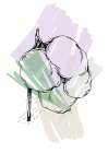 Cotton flowers minimal art Art Print