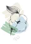Cotton flowers minimal art Art Print