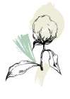 Cotton flowers minimal art Art Print