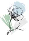 Cotton flowers minimal art Art Print