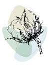 Cotton flowers minimal art Art Print
