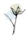 Cotton flowers minimal art Art Print
