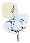 Cotton flowers minimal art Art Print