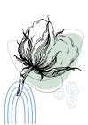 Cotton flowers minimal art Art Print