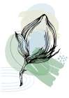 Cotton flowers minimal art Art Print