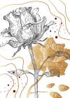 Roses flowers minimal art Art Print