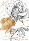 Roses flowers minimal art Art Print
