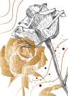 Roses flowers minimal art Art Print