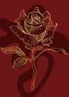 Roses flowers minimal art Art Print