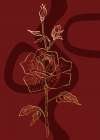 Roses flowers minimal art Art Print