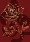 Roses flowers minimal art Art Print