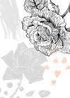 Roses flowers minimal art Art Print