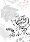 Roses flowers minimal art Art Print