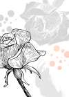 Roses flowers minimal art Art Print