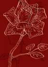 Roses flowers minimal art Art Print