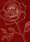 Roses flowers minimal art Art Print