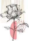Roses flowers minimal art Art Print