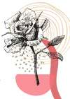Roses flowers minimal art Art Print