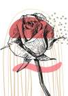 Roses flowers minimal art Art Print