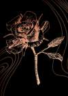 Roses flowers minimal art Art Print